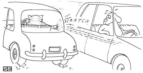 Cat scratches dog's car.
