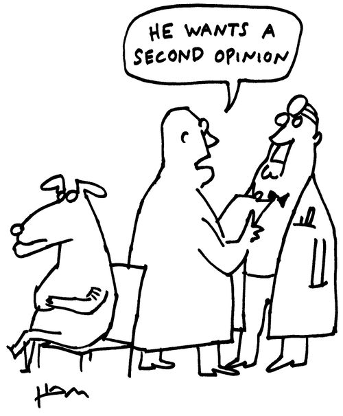 'He wants a second opinion.'