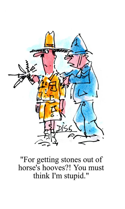 'For getting stones out of horse's hooves? You must think I'm stupid.'
