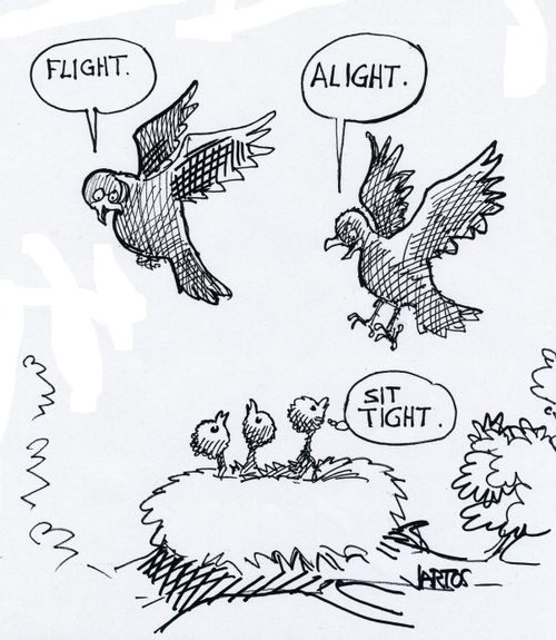 Family of Birds.