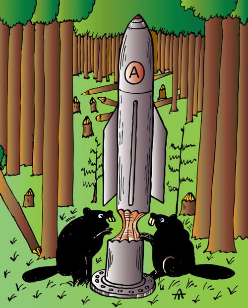 Beavers and missile