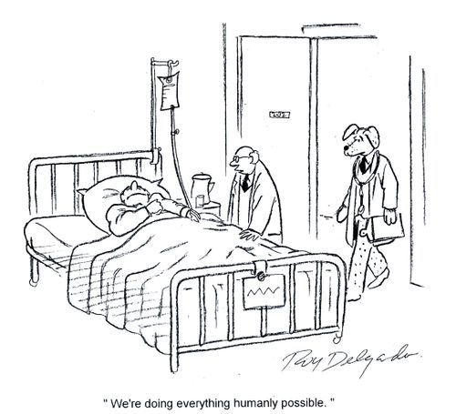 'We're doing everything humanly problem.'