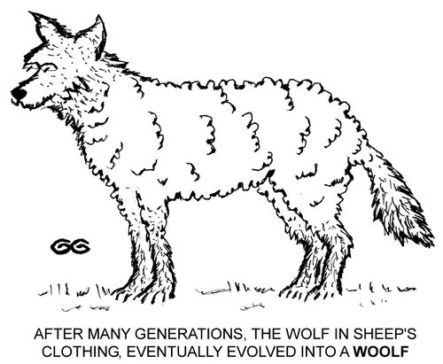 After many generations, the wolf in sheep's clothing, eventually evolved into a WOOLF.