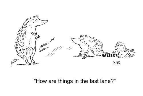 'How are things in the fast lane?'