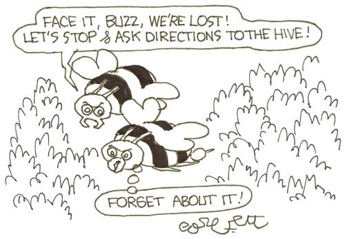  'Face it, Buzz, we're lost!  Let's stop & ask directions to the hive!'...'Forget about it!'
