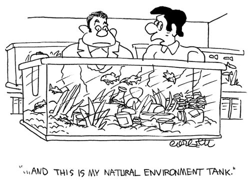 "And this is my natural environment tank."