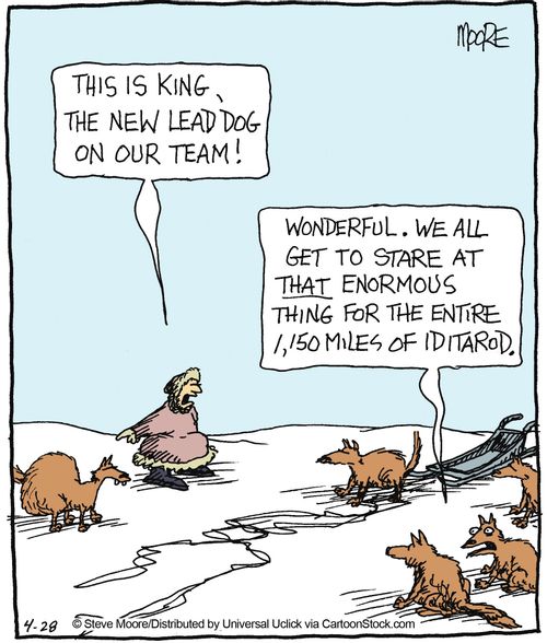 'This is King, the new lead dog on our team.'