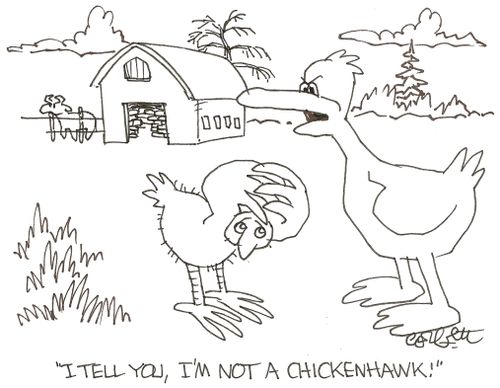 'I tell you, I'm not a chickenhawk!'