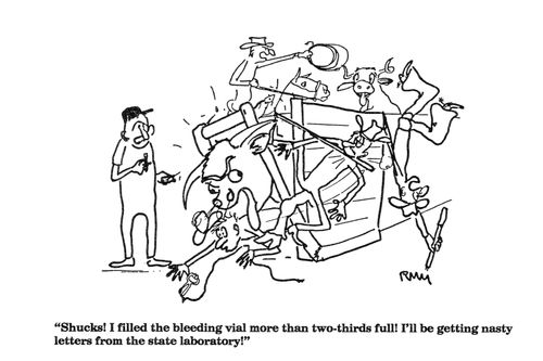 'Shucks!  I filled the bleeding vial more than two-thirds full!...'