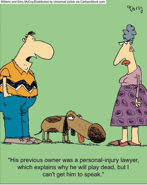 'His previous owner was a personal-injury lawyer, which explains why he will play dead, but I can't get him to speak.'