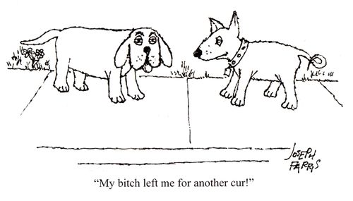 'My bitch left me for another cur!'
