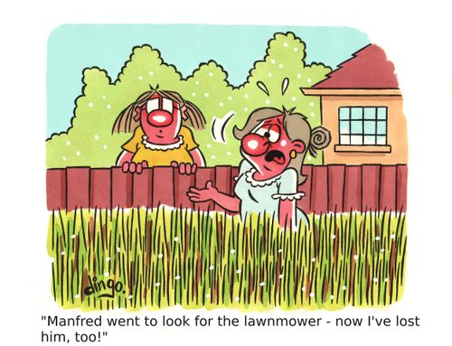 'Manfred went to look for the lawnmower - now I've lost him, too!'