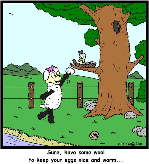 'Sure, have some wool to keep your eggs nice and warm...'