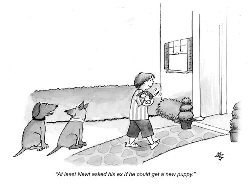 'At least Newt asked his ex if he could get a new puppy.'