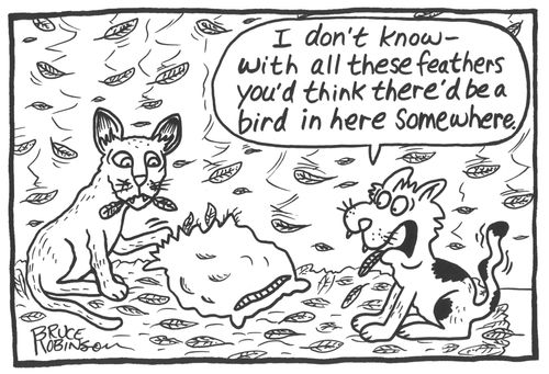 'I don't know - with all these feathers you'd think there'd be a bird in here somewhere.'