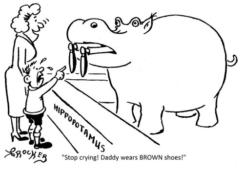 'Stop crying! Daddy wears BROWN shoes!'