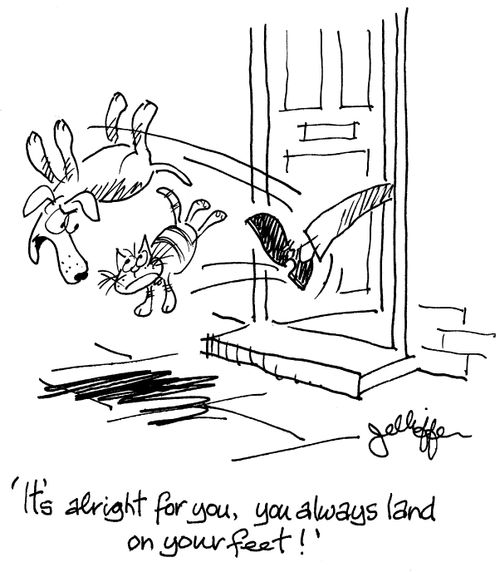 'It's alright for you, you always land on your feet!'