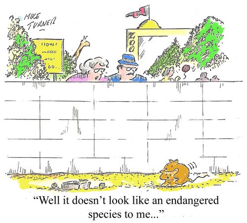 'Well it dosen't look like an endangerd species to me...'