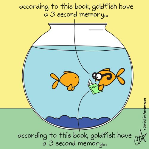 'According to this book, goldfish have a 3 second memory...' 