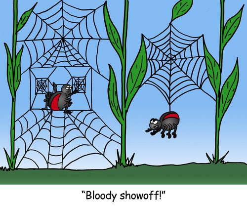 'Bloody showoff!'