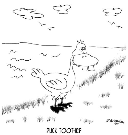 Duck Toothed