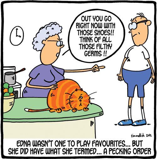 The household pecking order.