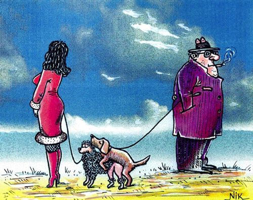 A man and woman giving their mating dogs some privacy.