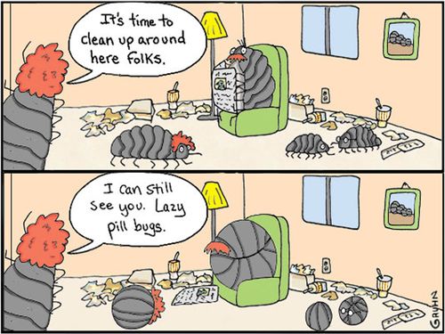'It's time to clean up around here folks...I can still see you. Lazy pill bugs.'