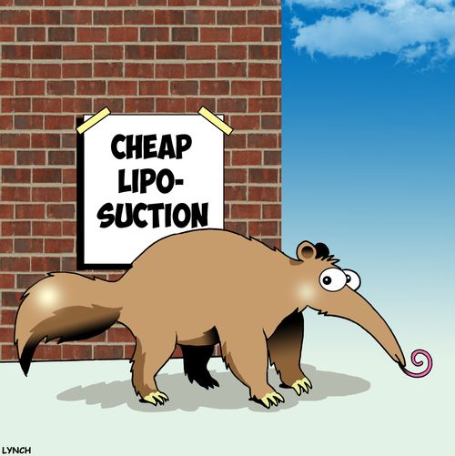 Cheap Liposuction.