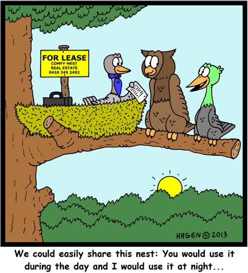 'We could easily share this nest: You would use it during the day and I would use it at night...'