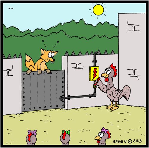 Chickens with high-voltage gate security system.