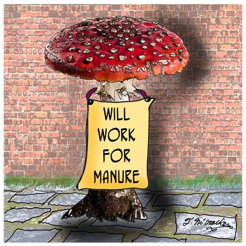 Will Work for Manure