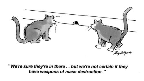 'We're sure they're in there... but we're not certain if they have weapons of mass destruction.'