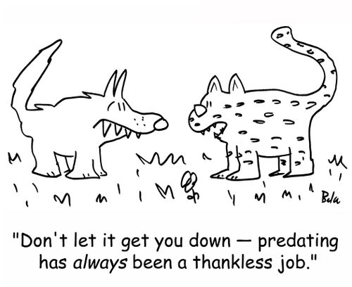 'Don't let it get you down -- predating has always been a thankless job.'