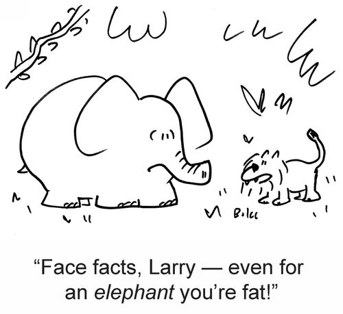 'Face facts, Larry — even for an elephant you're fat!'