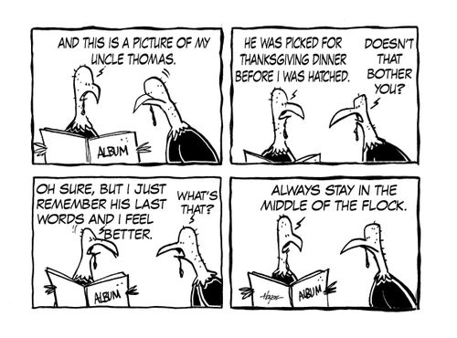 Turkeys and Thanksgiving - Last Words.