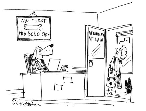 My first pro bono case.