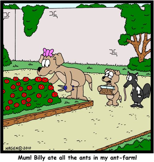'Mum! Billy ate all the ants in my ant-farm!'
