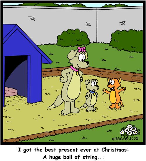 'I got the best present ever at Christmas: A huge ball of string...'