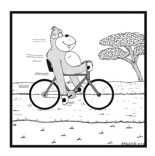 Monkey on Bike