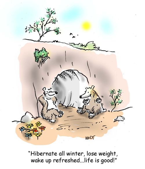 Hibernate all winter, lose weight, wake up refreshed...life is good.
