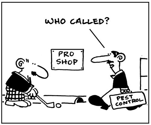 Pest control.