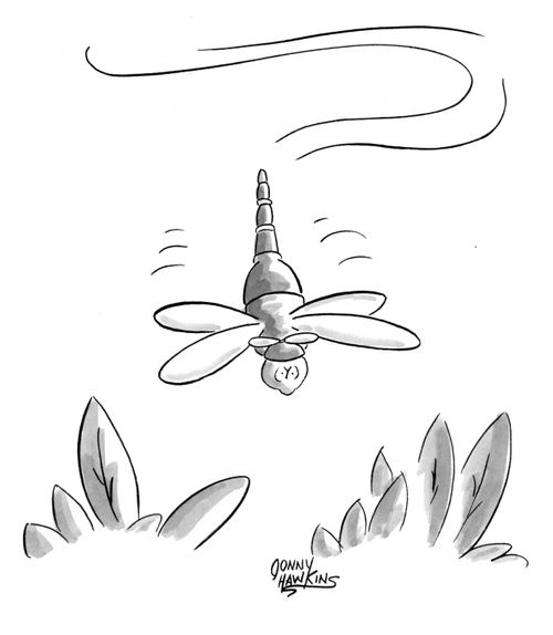 Dragon fly is about to crash.