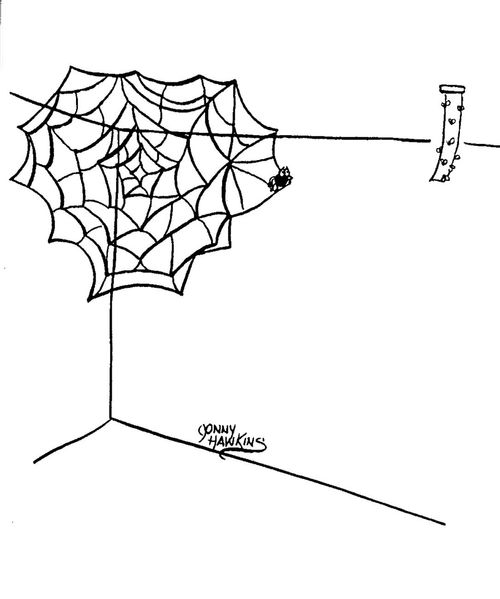 Spider with elaborate web.