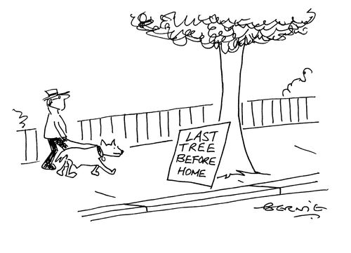'Last tree before home.'