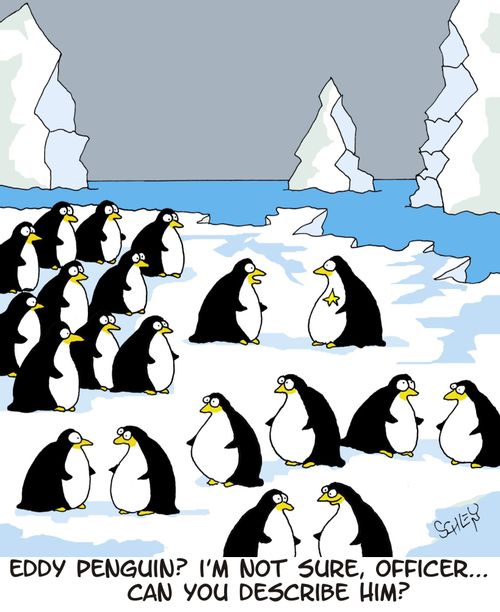 'Eddy Penguin? I'm not sure, officer... Can you desctibe him?'