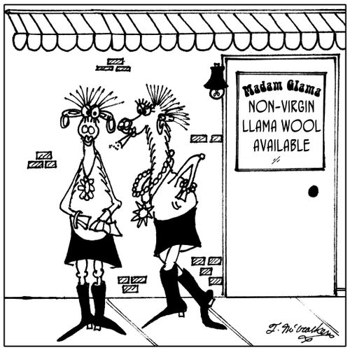 Non-virgin llama wool available.