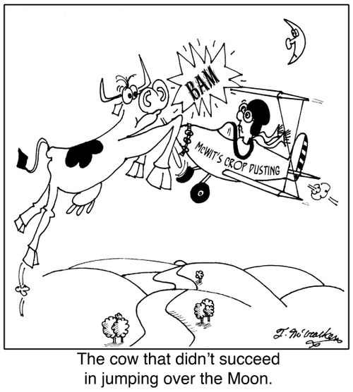 The cow that didn't succeed in jumping over the Moon.