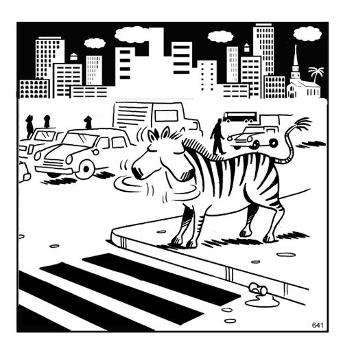 Zebra crossing.