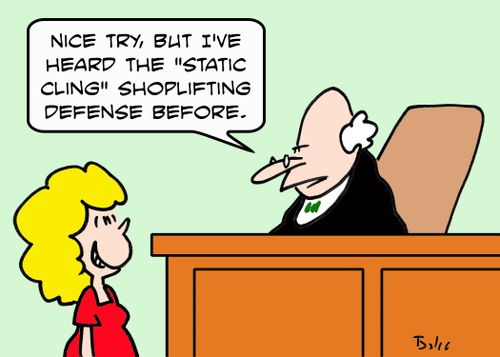 'Nice try, but I've heard the 'static cling' shoplifting defense before.'